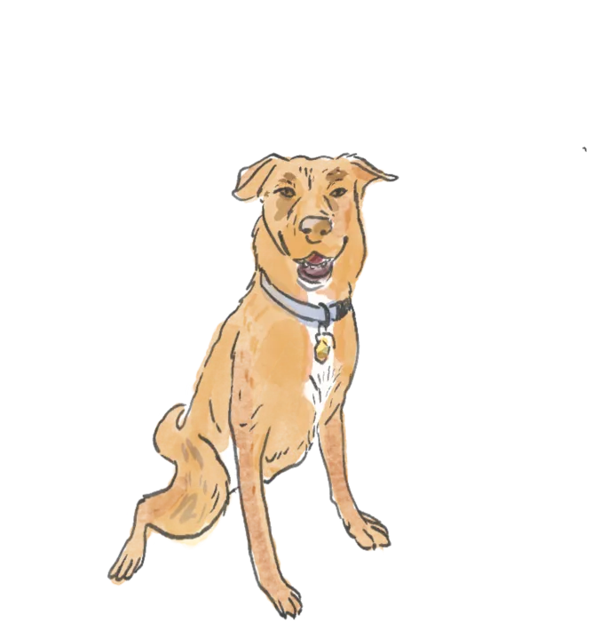 Kaia the dog